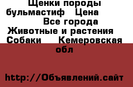 Щенки породы бульмастиф › Цена ­ 25 000 - Все города Животные и растения » Собаки   . Кемеровская обл.